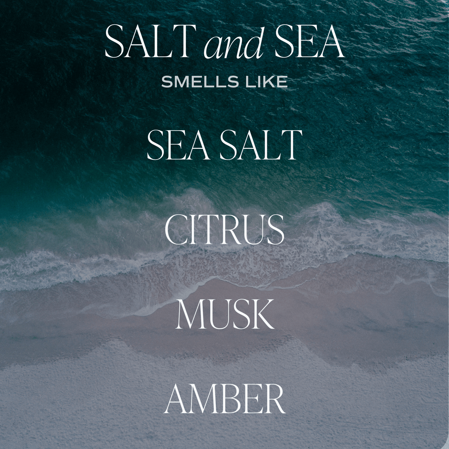 Salt and Sea Amber Reed Diffuser by Sweet Water Decor